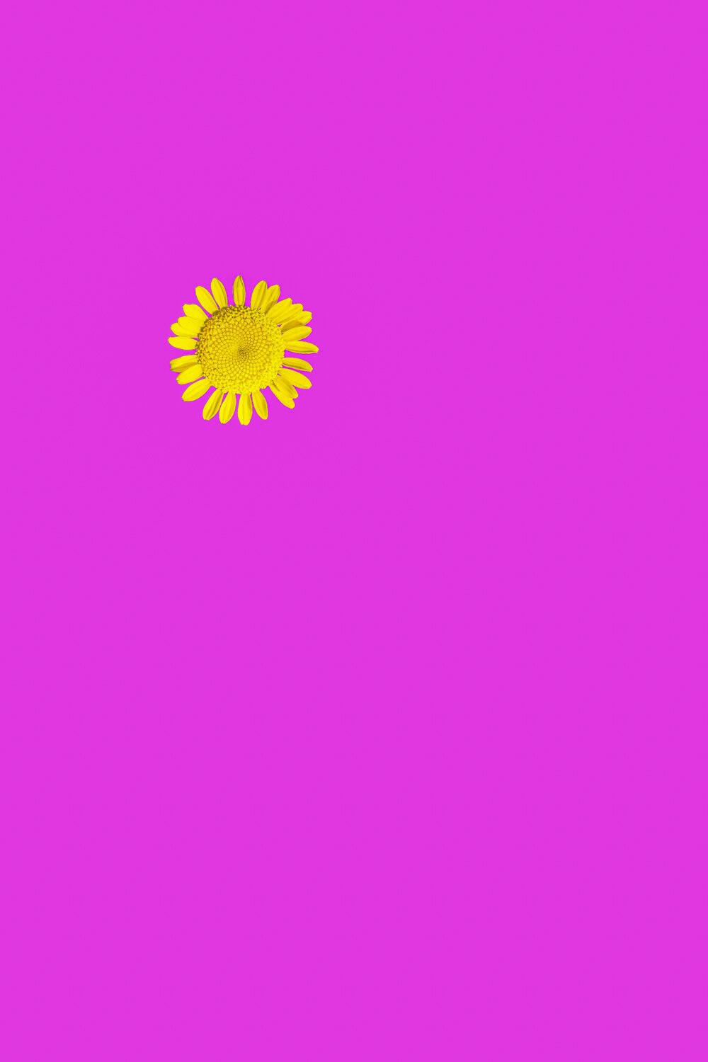 24__H8A2845-Edit-Edit.jpg