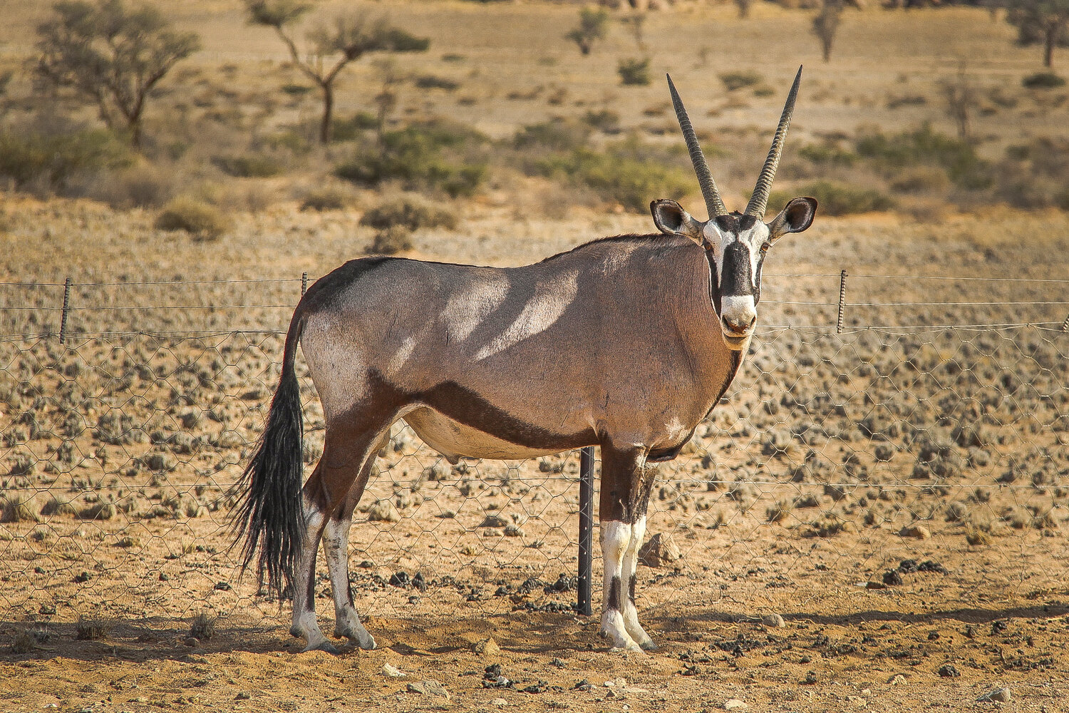  Namibia 