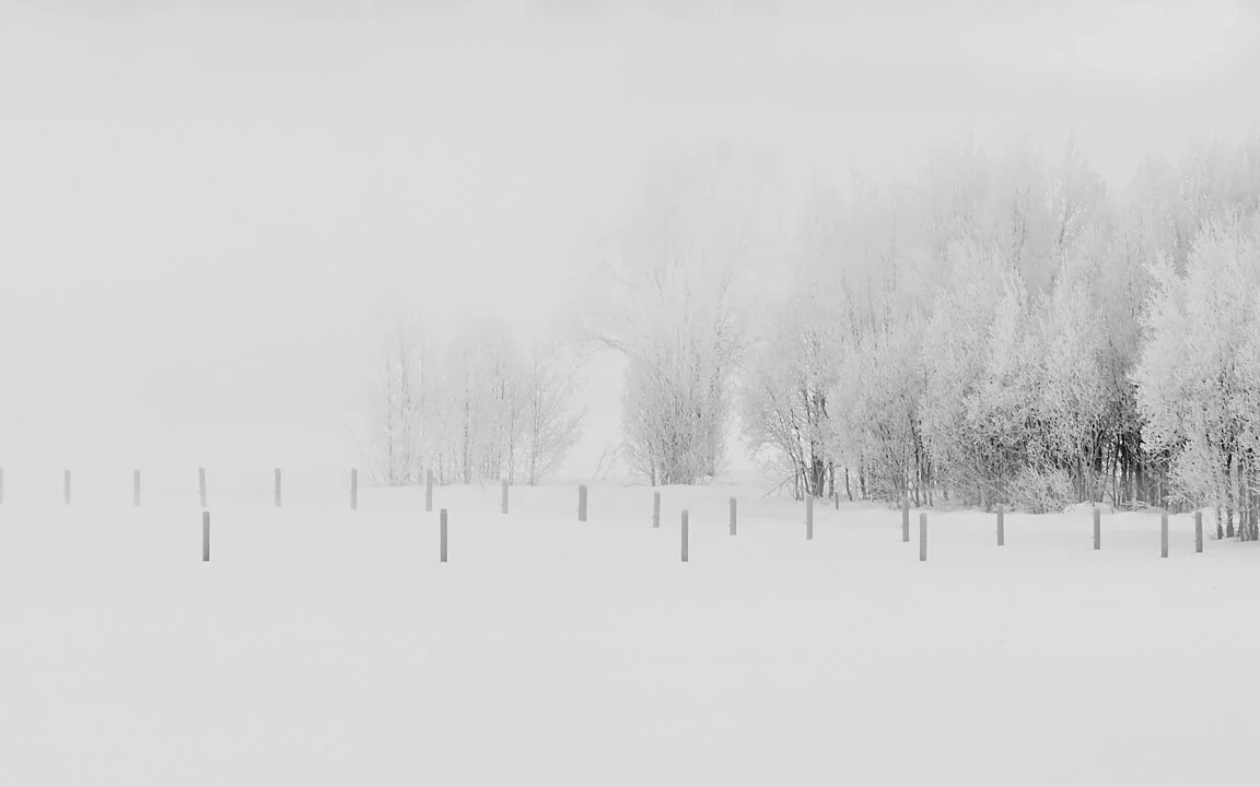 WP___D7A2450__Eva.Zingg.Photography.jpg