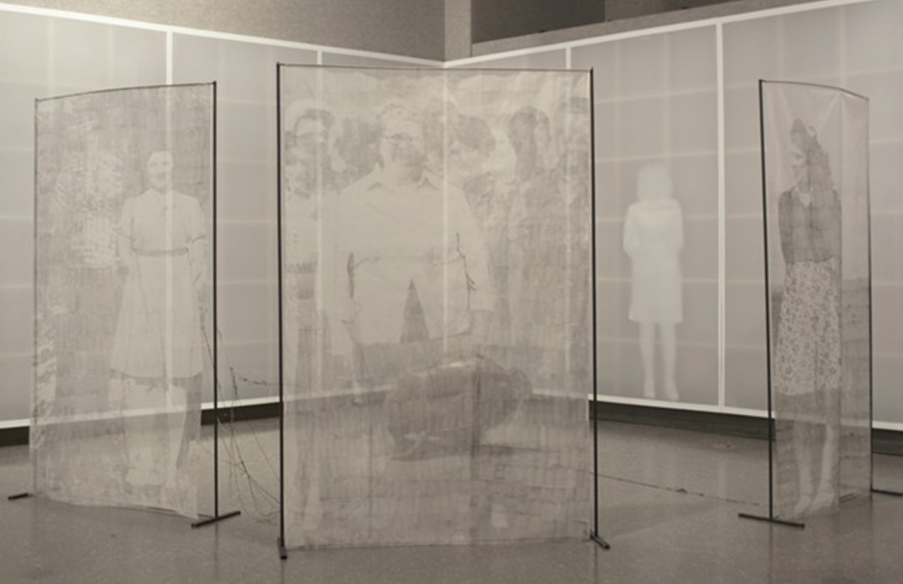 Beyond Distortions, Cotton organdy, cotton thread, dacron, and bronze, Dimensions variable, 2011
