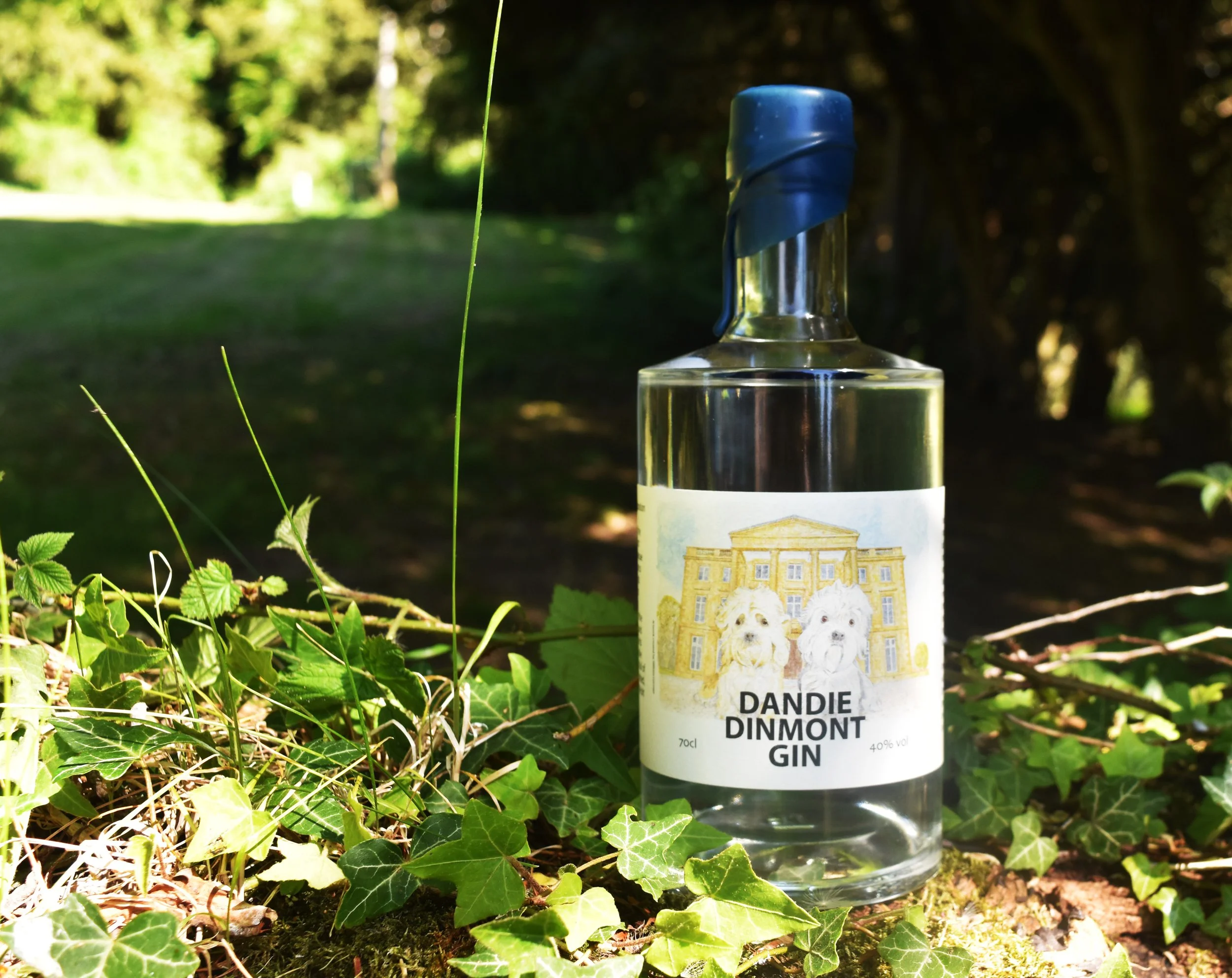 Dandie Dinmont Gin 40% ABV PRE-ORDER