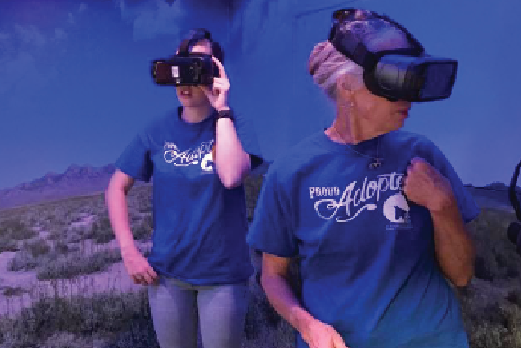 Screen Shot 2018-04-18 at 7.51.22 AM.png