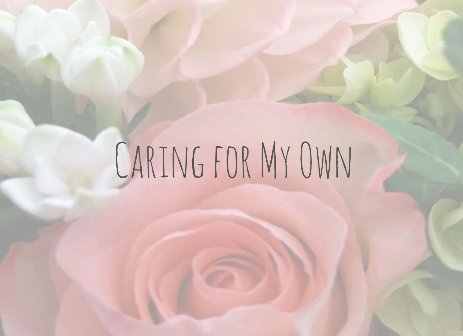 Caring for My Own 2.jpg