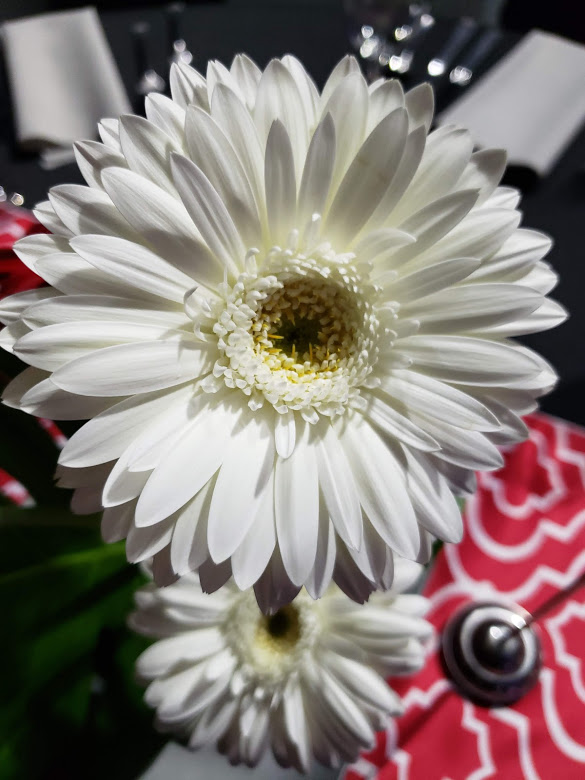 20190508_163601.jpg