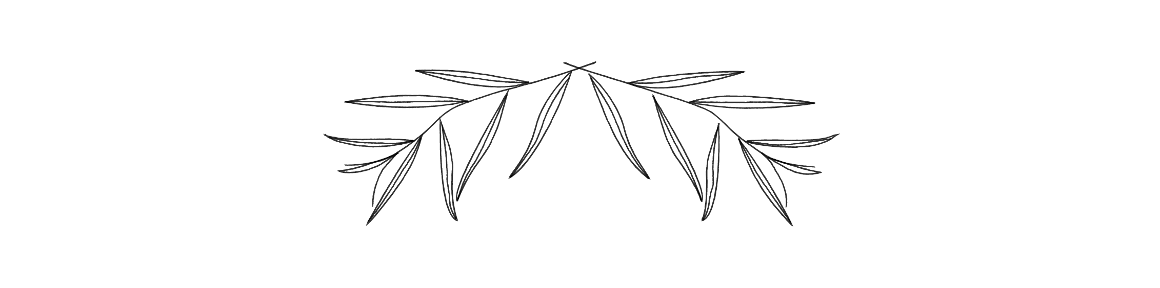 WillowBranches-02.png