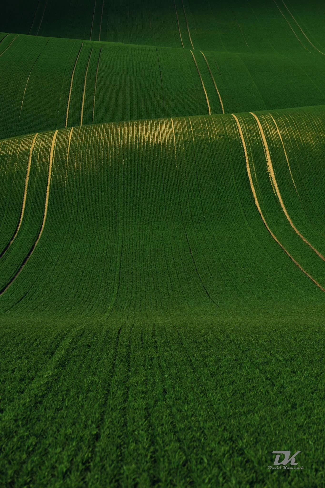 Green waves