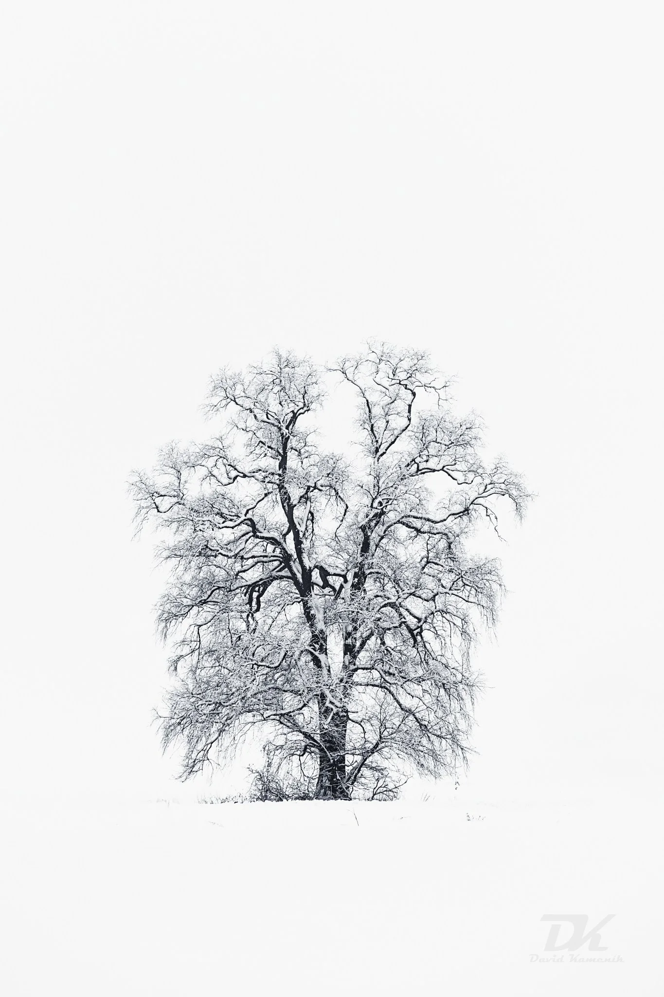 Loneliness in the fog
