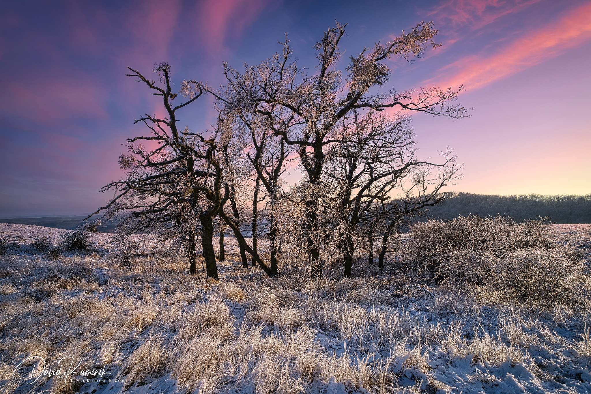 The Frozen Kingdom