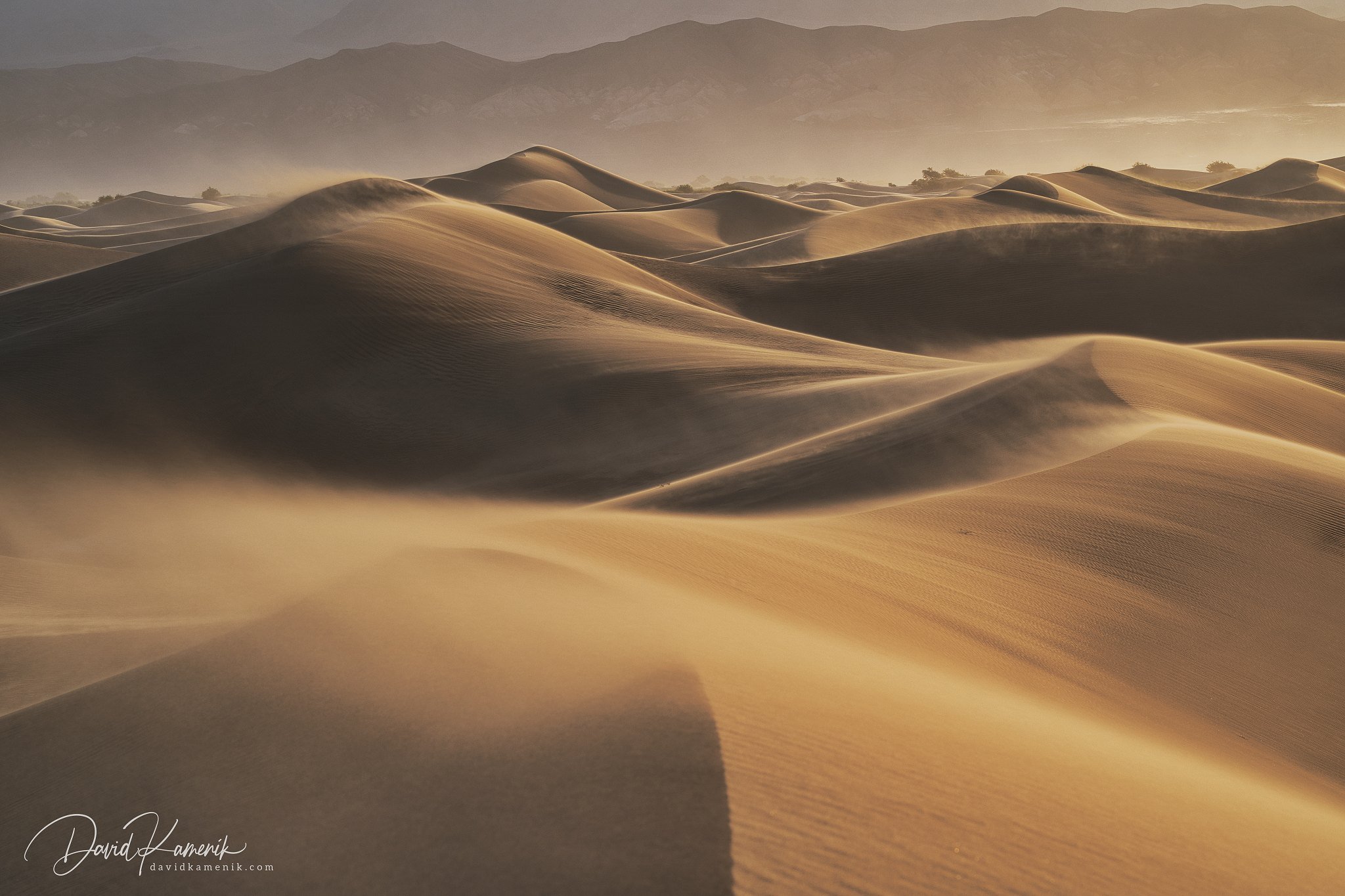Desert fresh air