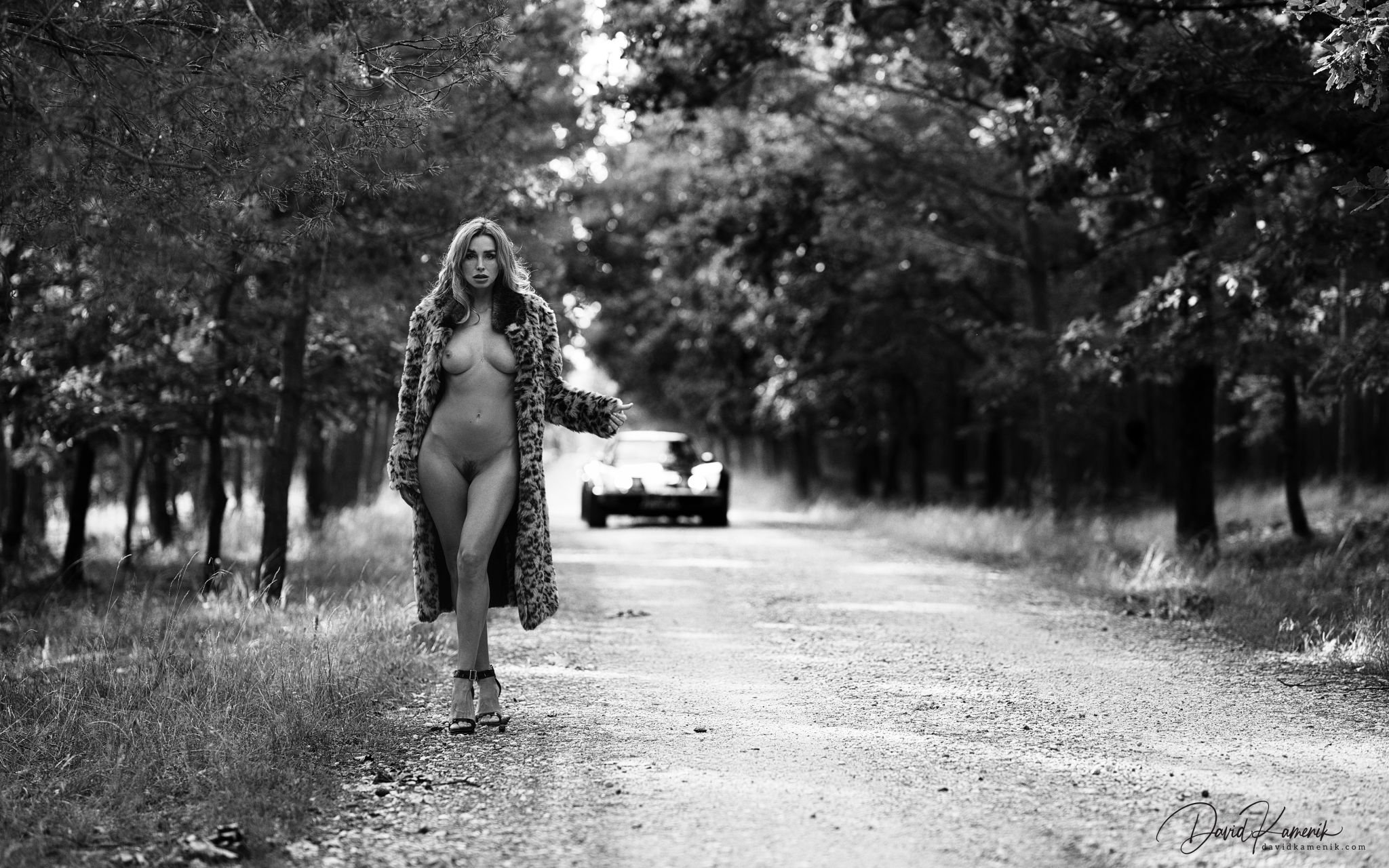 The Hitchhiker