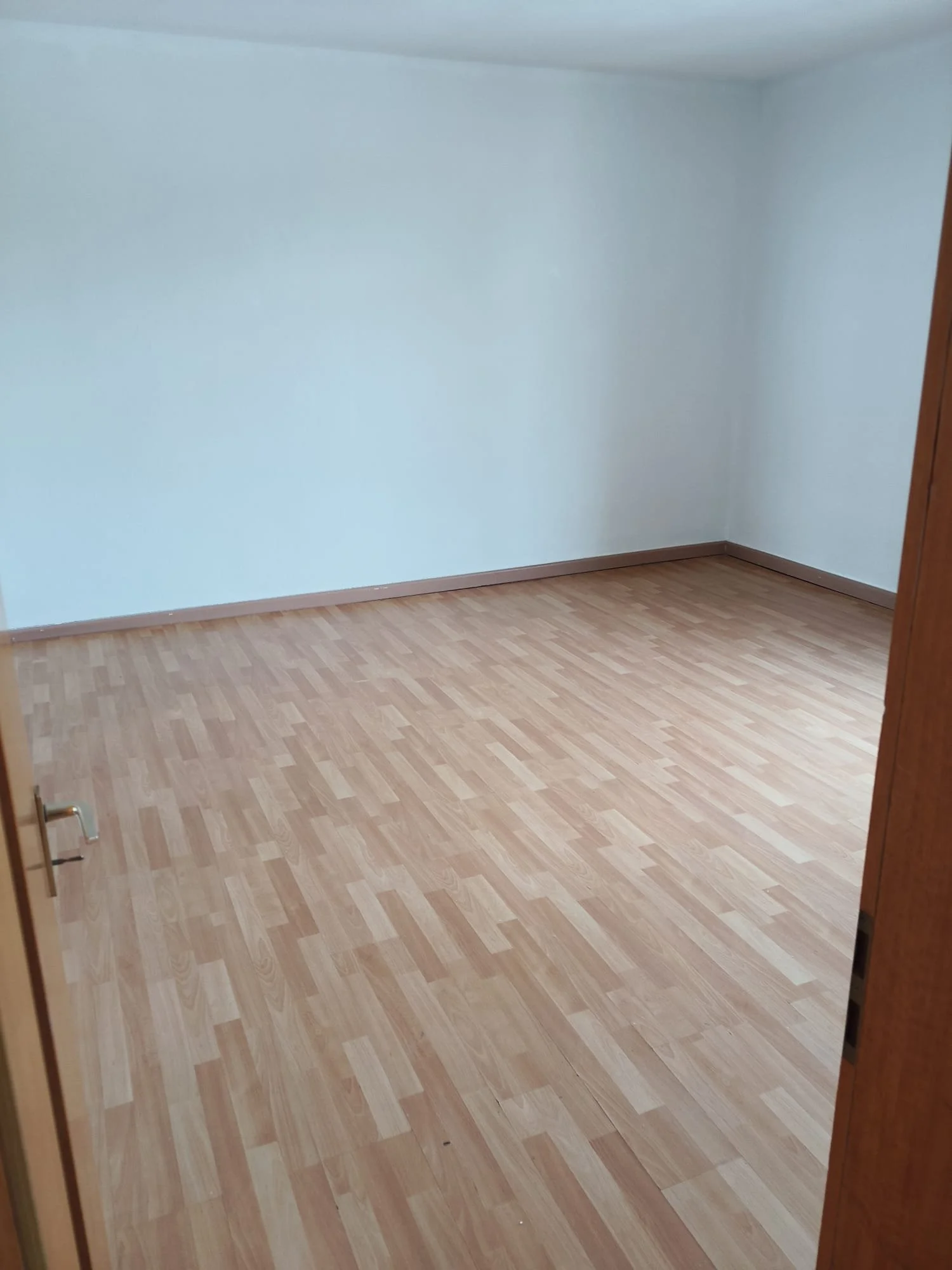 PHOTO-2026-03-24-14-57-04 5.jpg