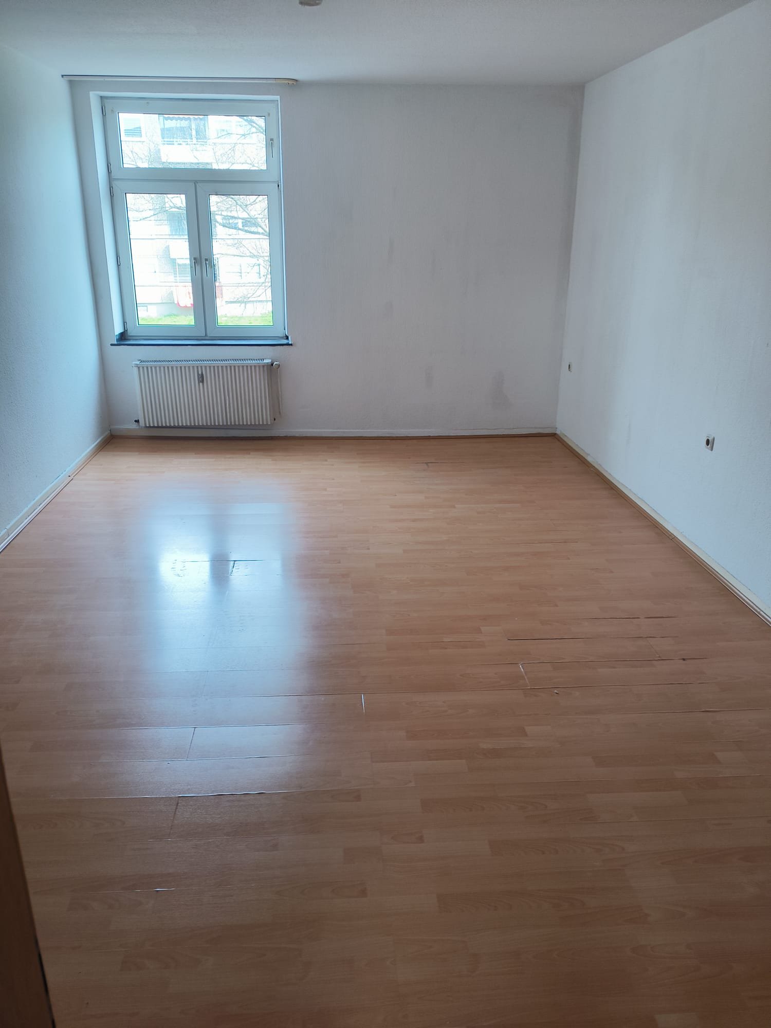 PHOTO-2026-03-24-14-57-04 6.jpg