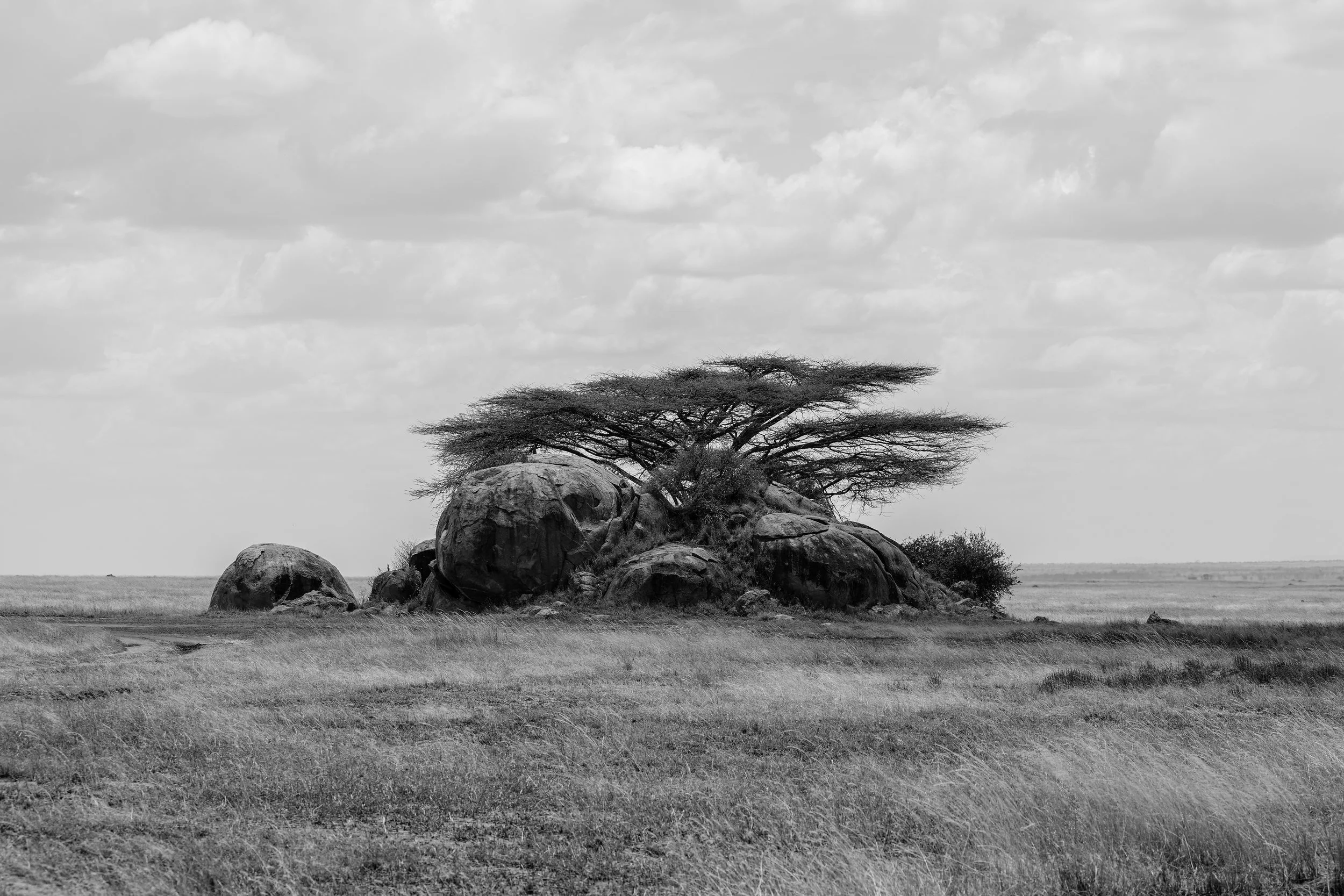 central serengeti rock.jpg