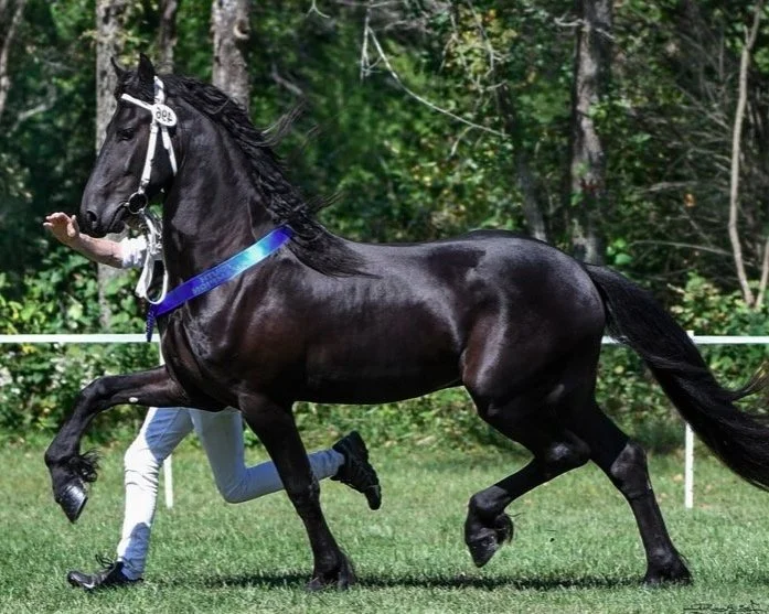 Duke van de Keen  Ster