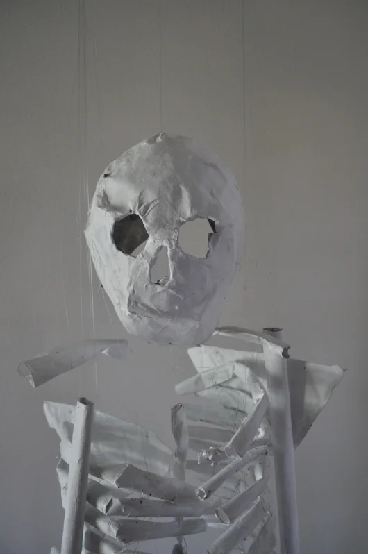 Resized Skeleton .JPG