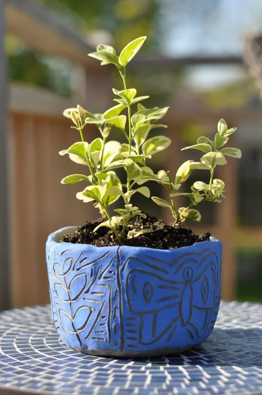 Resized Planter .JPG