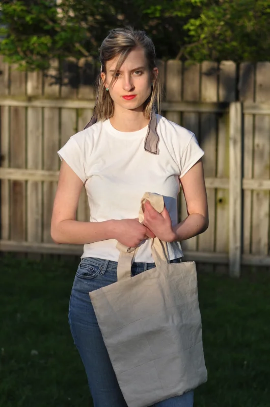 Resized Brown Bag.JPG