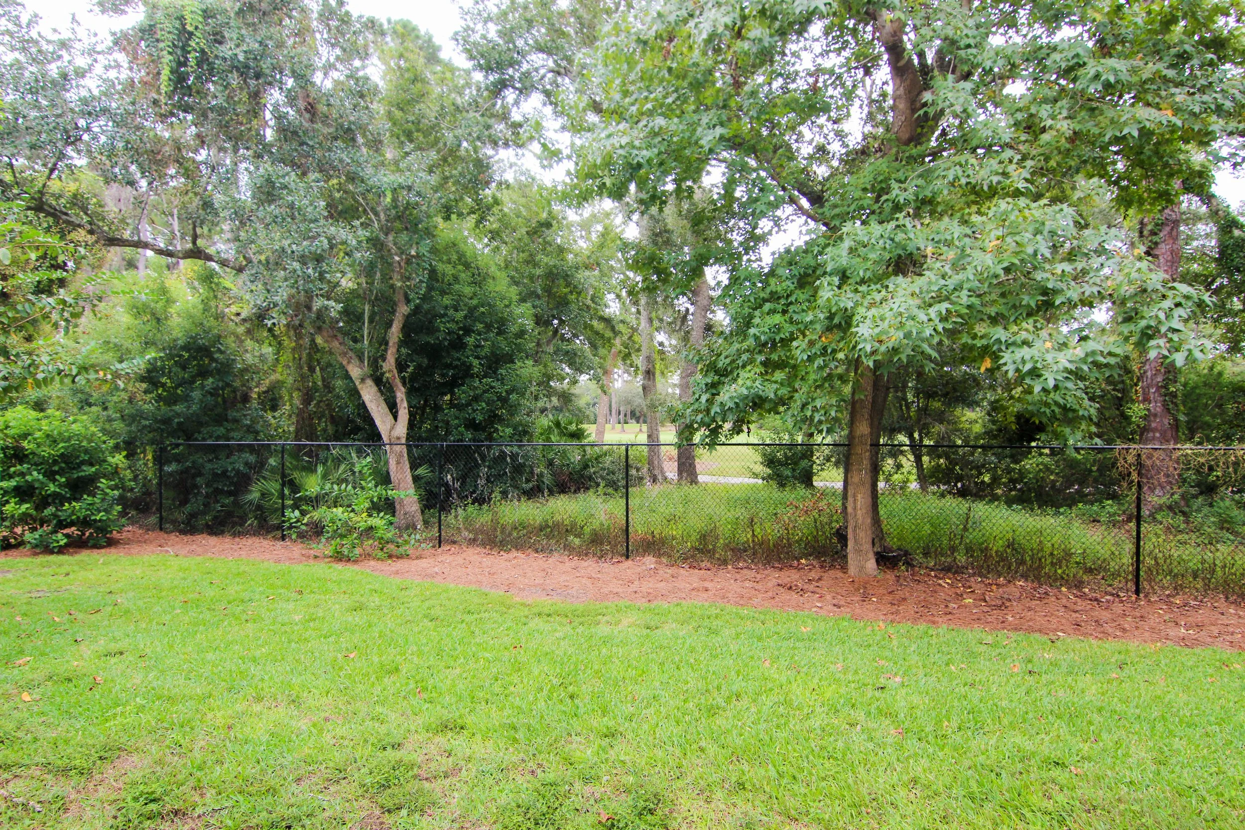 18 Backyard.jpg