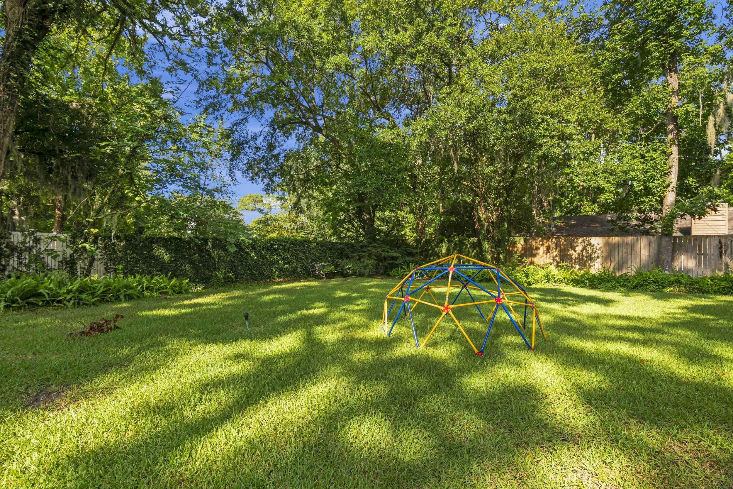 19 Backyard.jpg