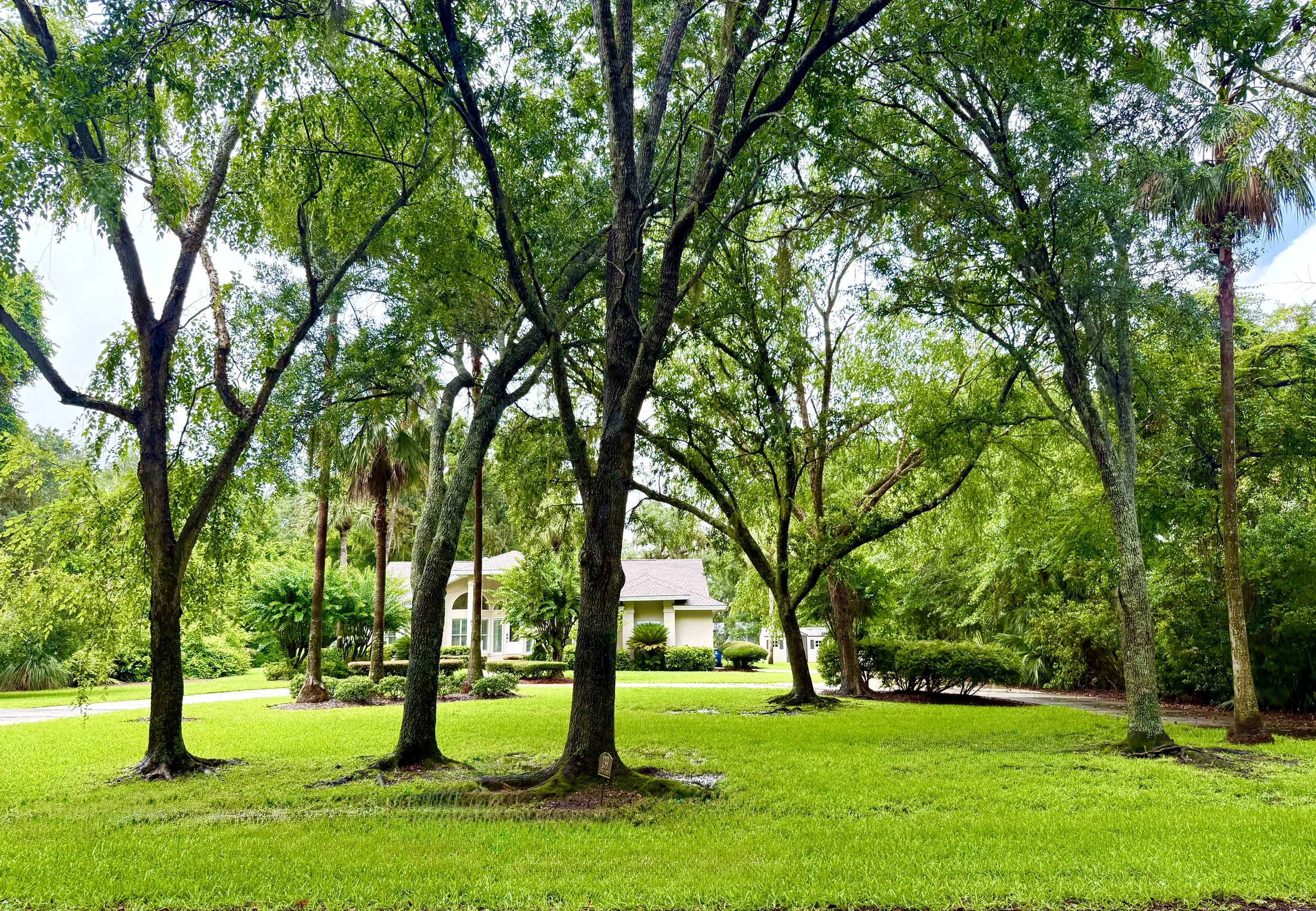 06_Exterior Front Drive.jpg