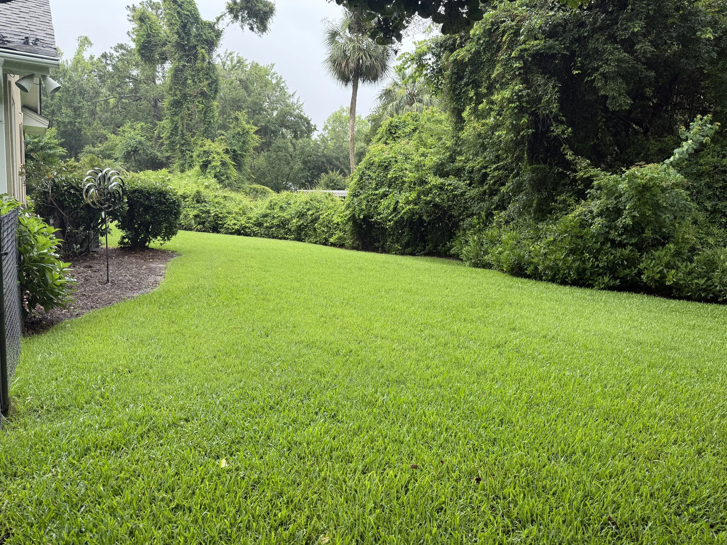 70_Exterior Back Yard.jpg