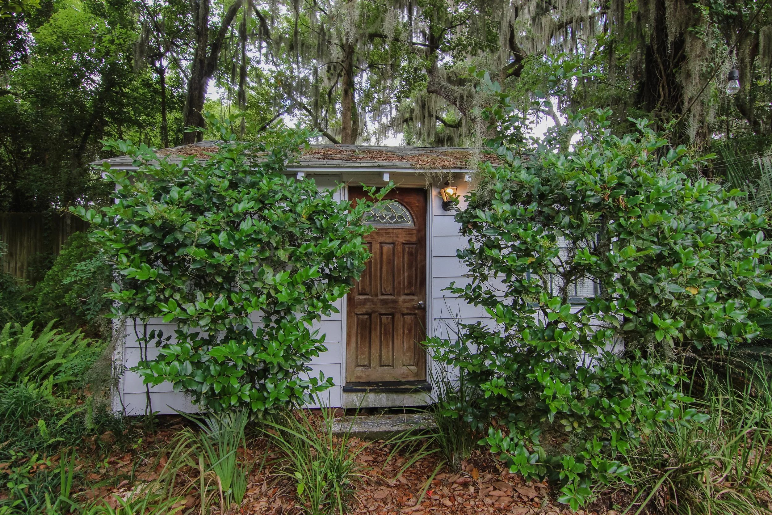 33 Backyard.jpg