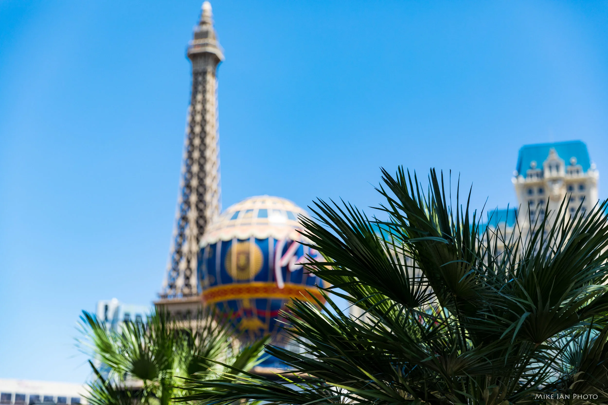 Vegas 2018 (9 of 26).jpg