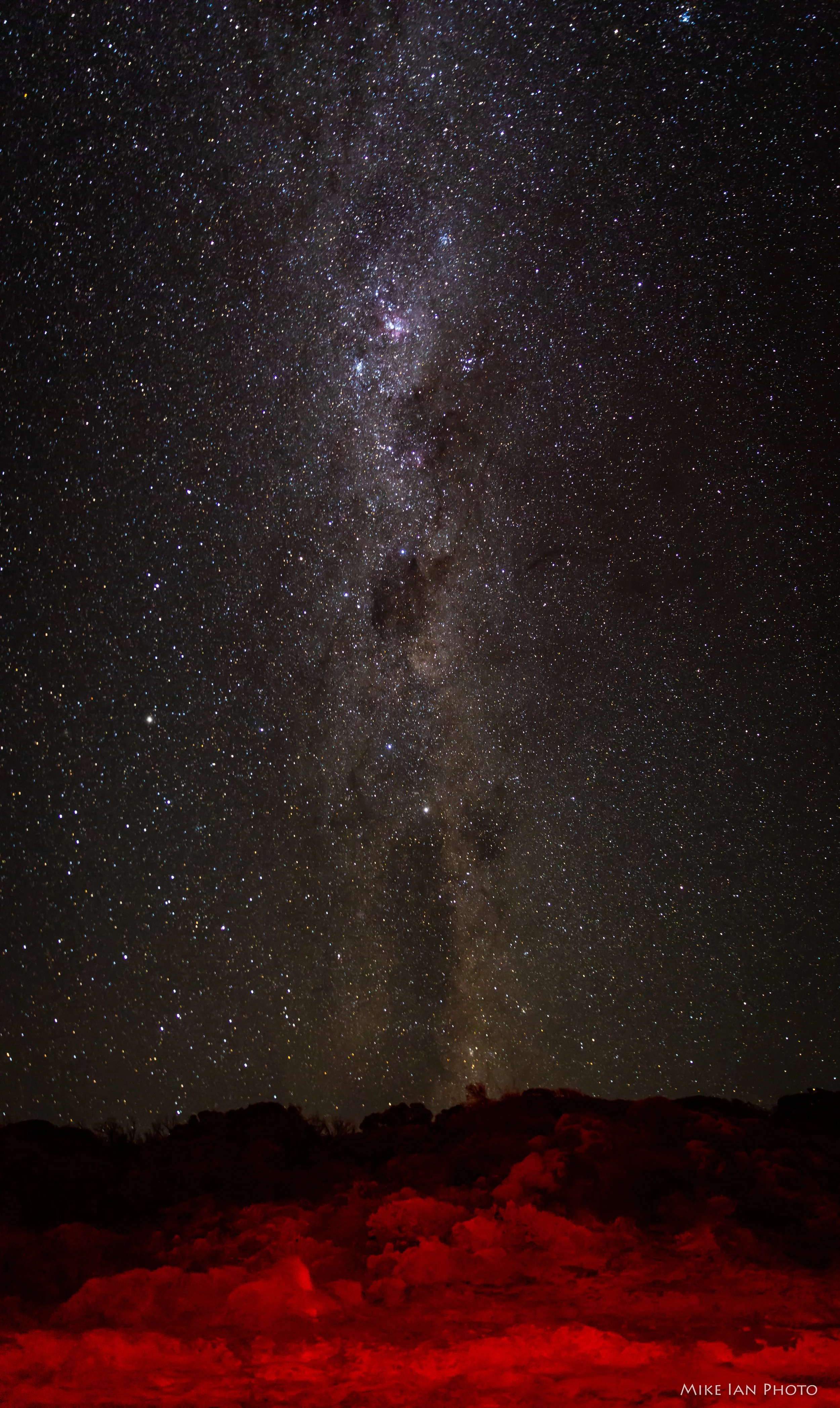 Melbourne 2019-46.jpg