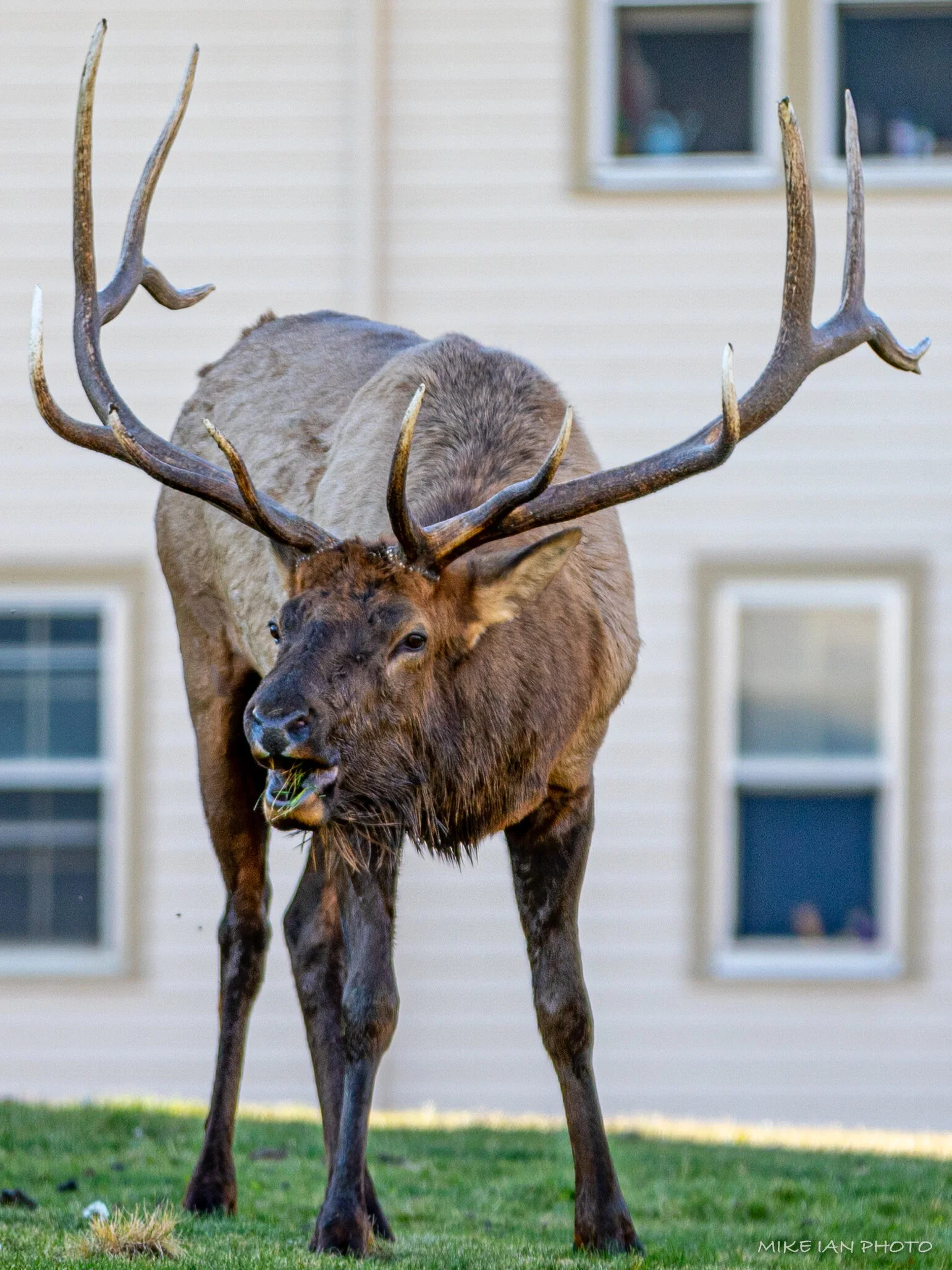 Yellowstone-Teton-14.jpg
