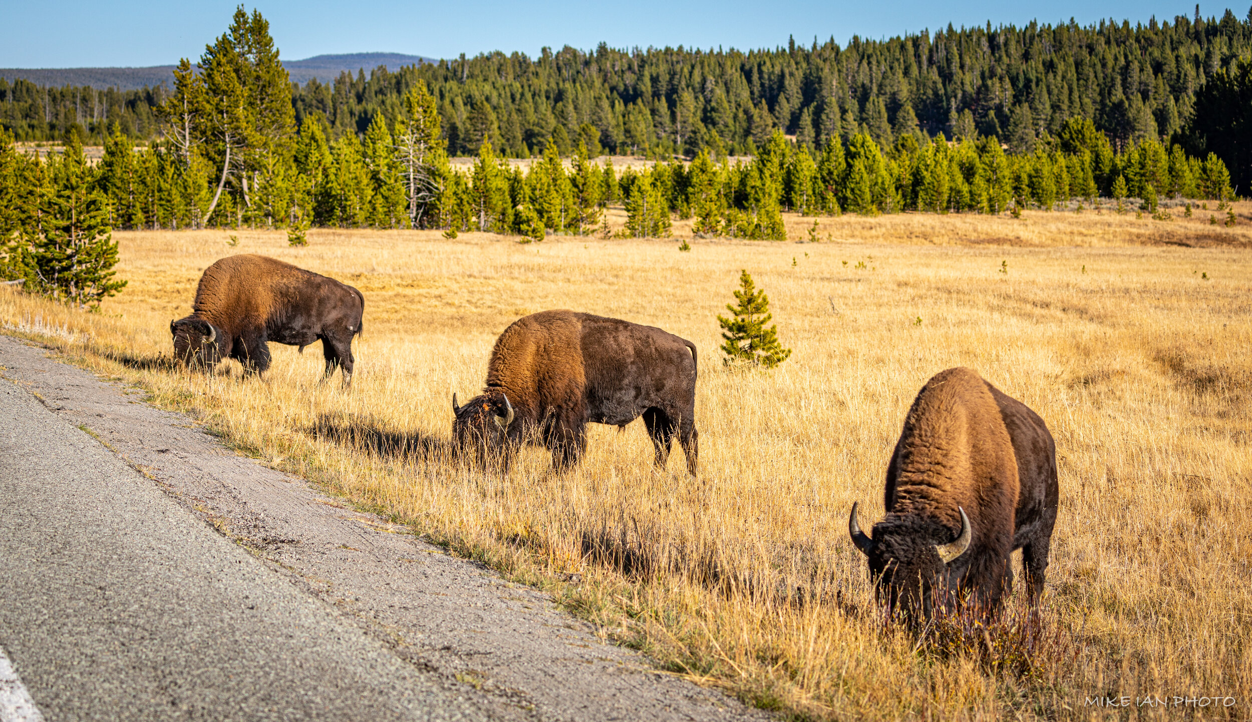 Yellowstone-Teton-97.jpg