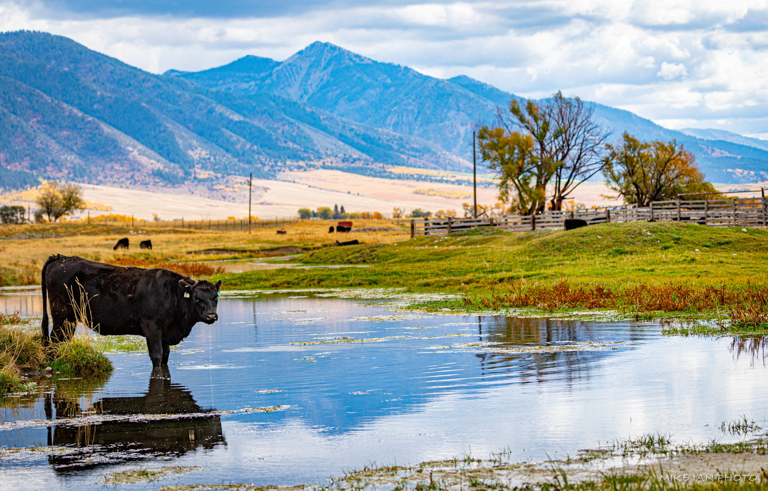 Yellowstone-Teton-143.jpg