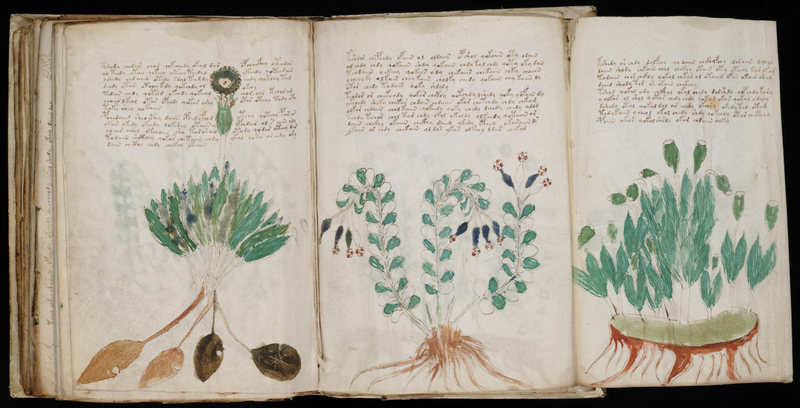 Voynich Manuscript (1408)