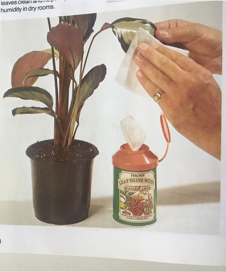 Found Plant Manual