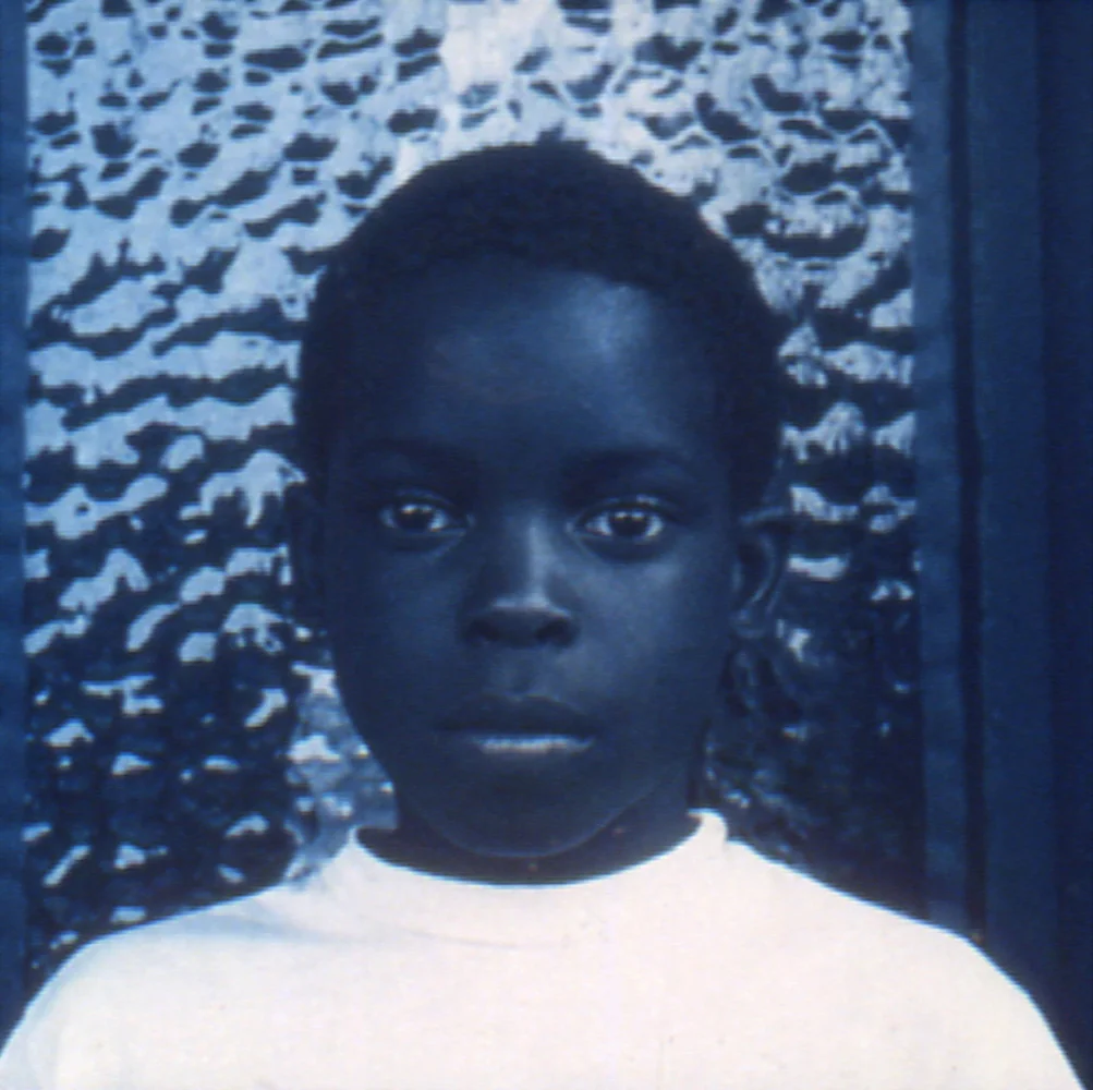 Carrie Mae Weems, by Andrea Kirsh