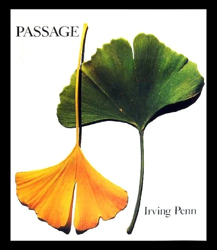 Passage: A Work Record, by Irving Penn