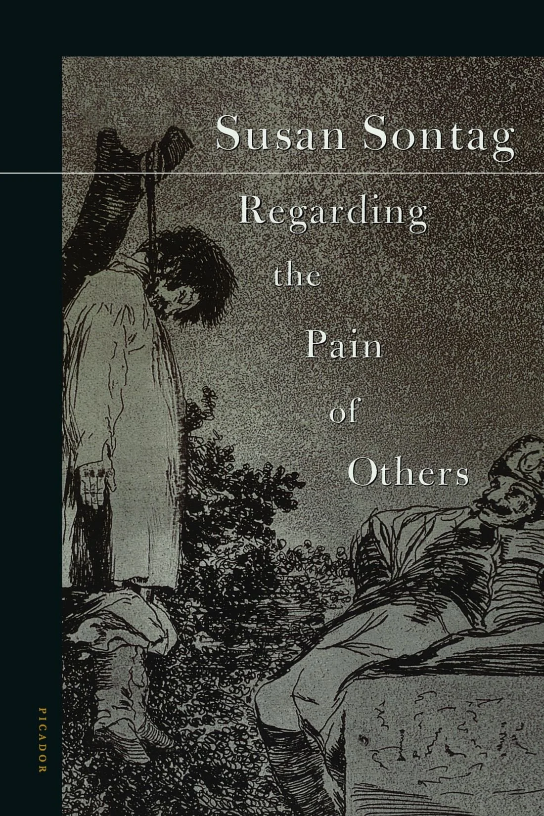 Regarding the Pain of Others, by Susan Sontag