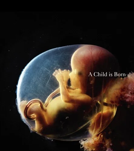 A Child is Born,  by Lennart Nilsson