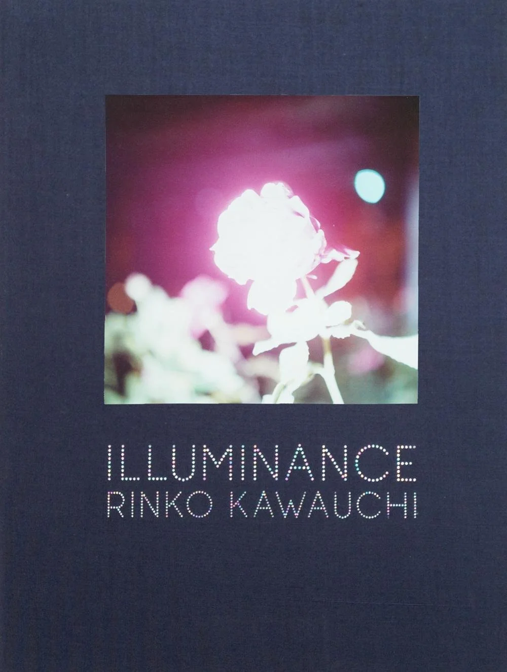 IIlluminance, by Rinko Kawauchi