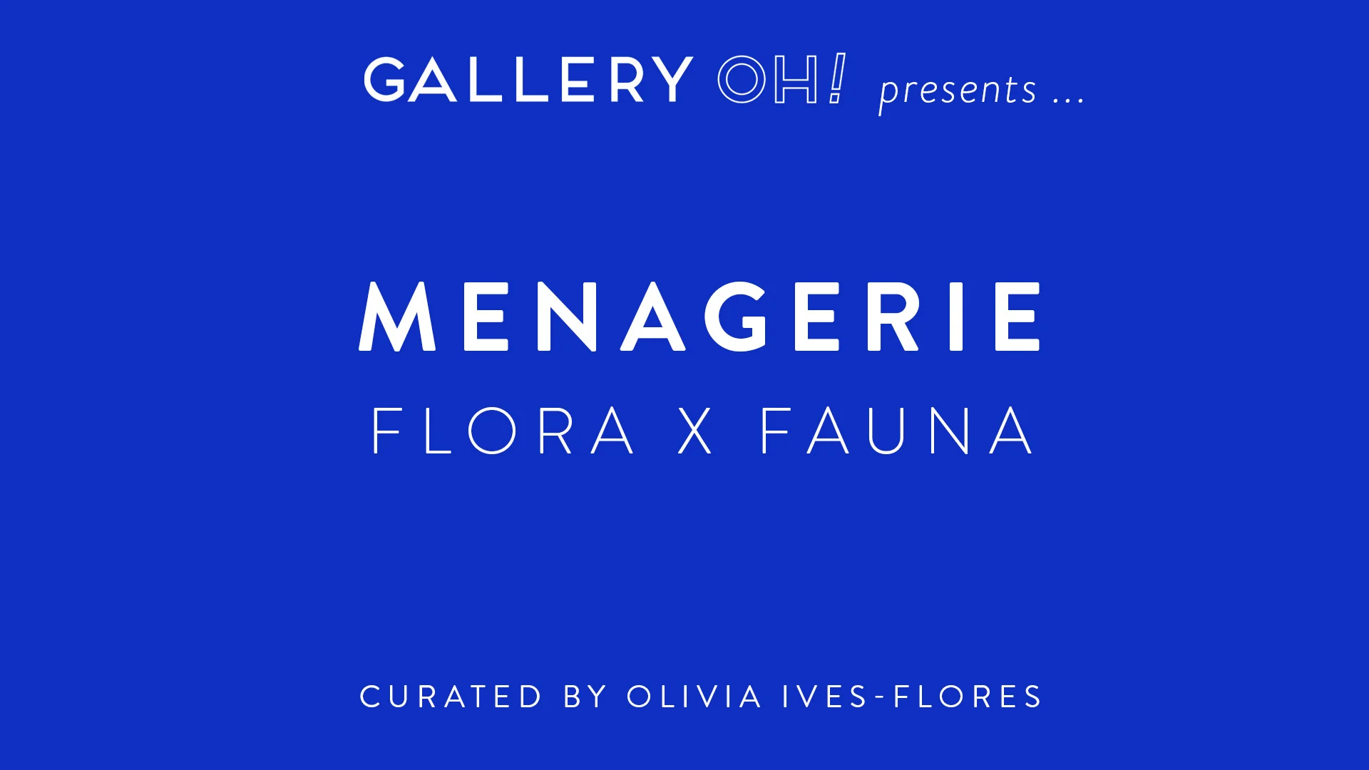 menagerie slideshow1.jpg