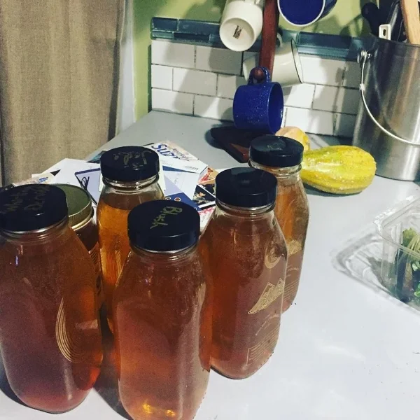 Kombucha.jpg
