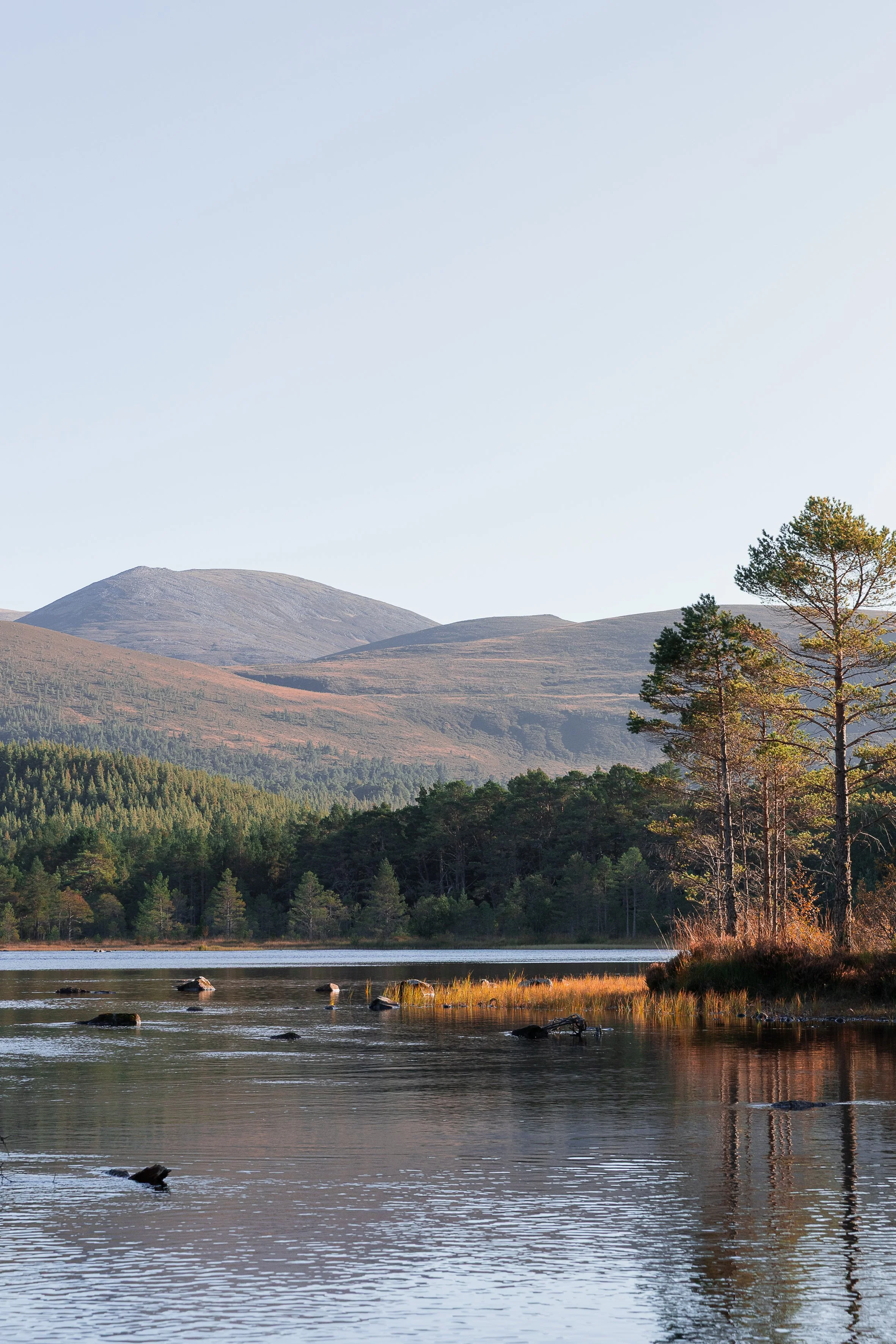 Loch Morlich 30x20.jpg