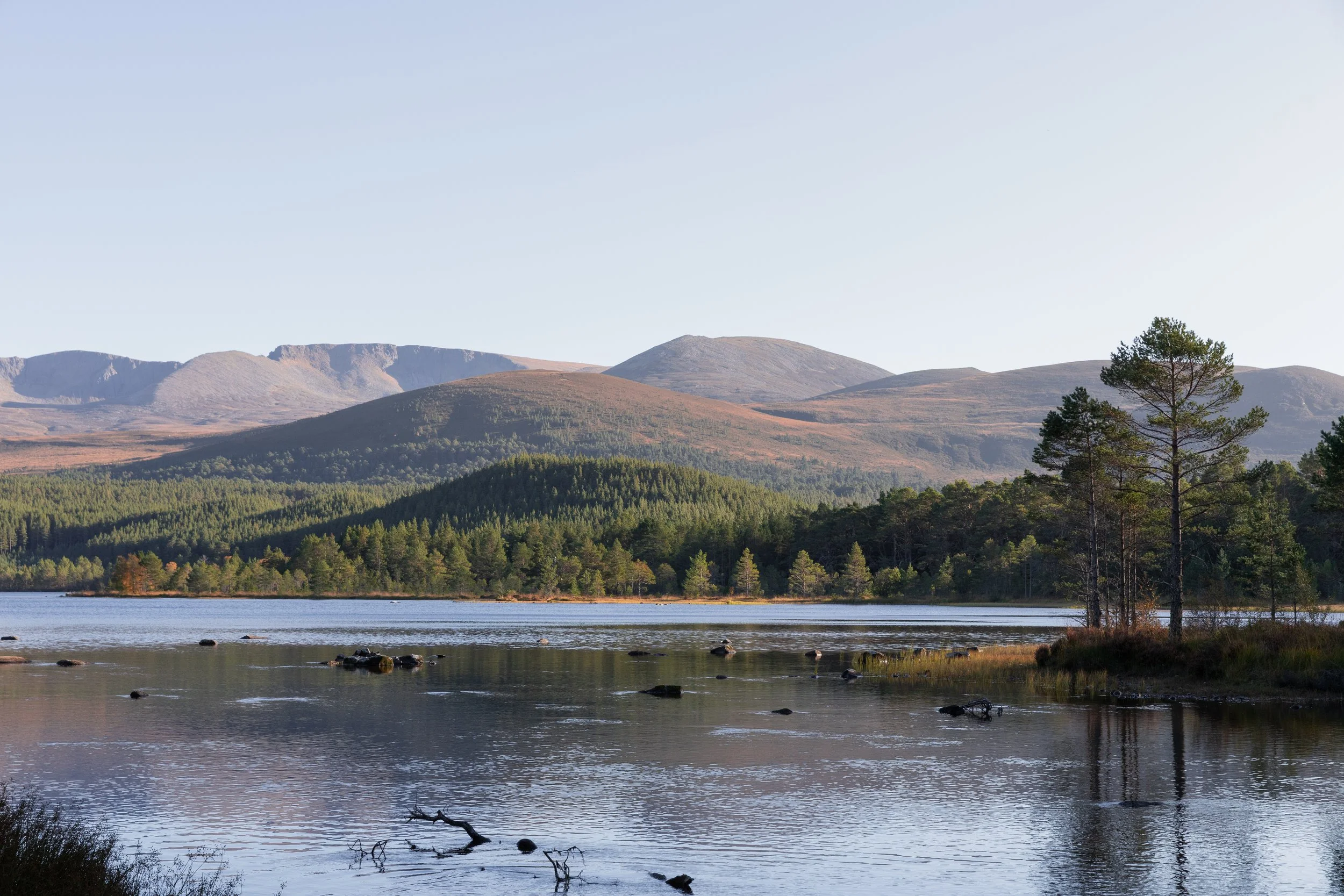 Aberdeenshire-15.jpg