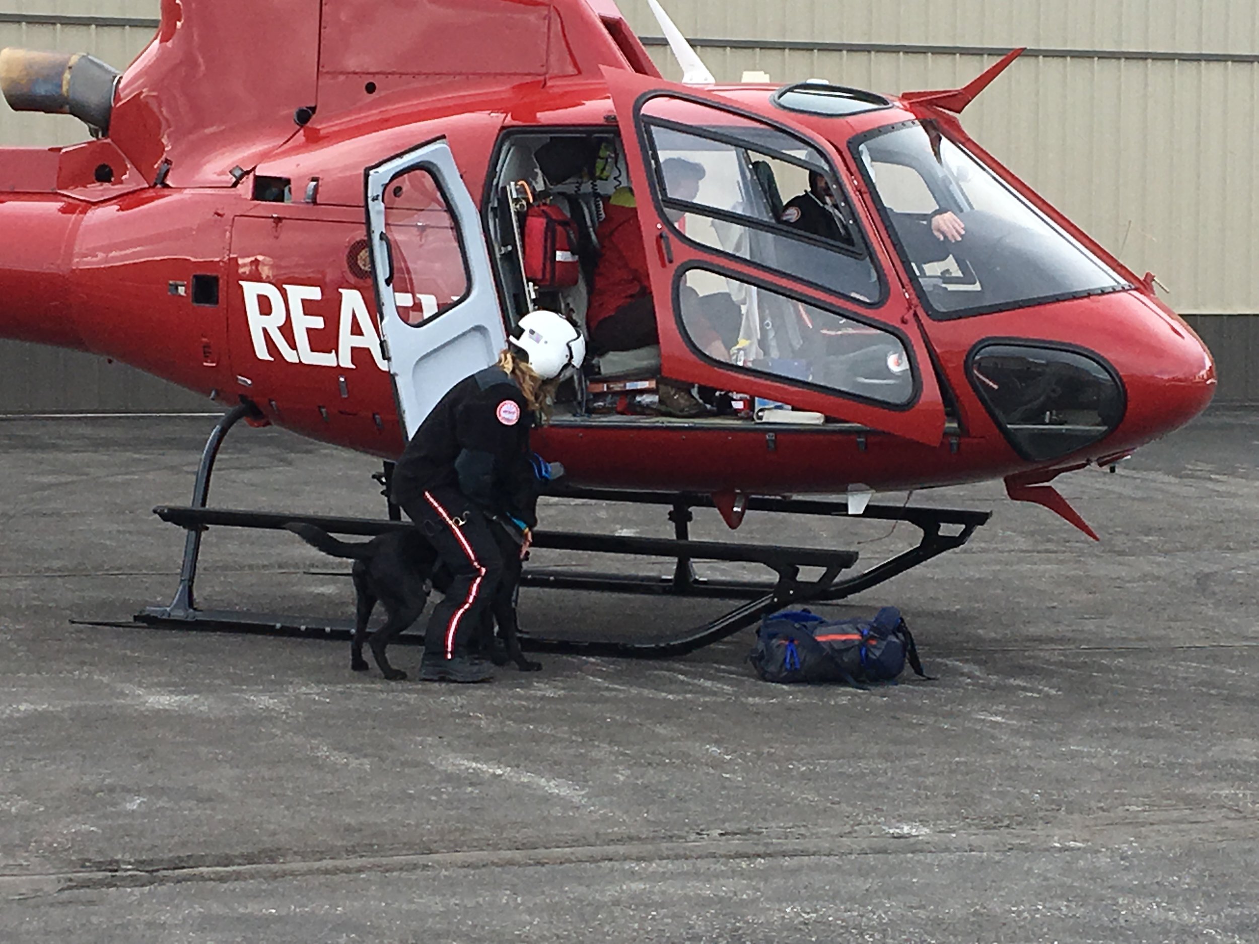 K9 Yodel loading into the helicopter