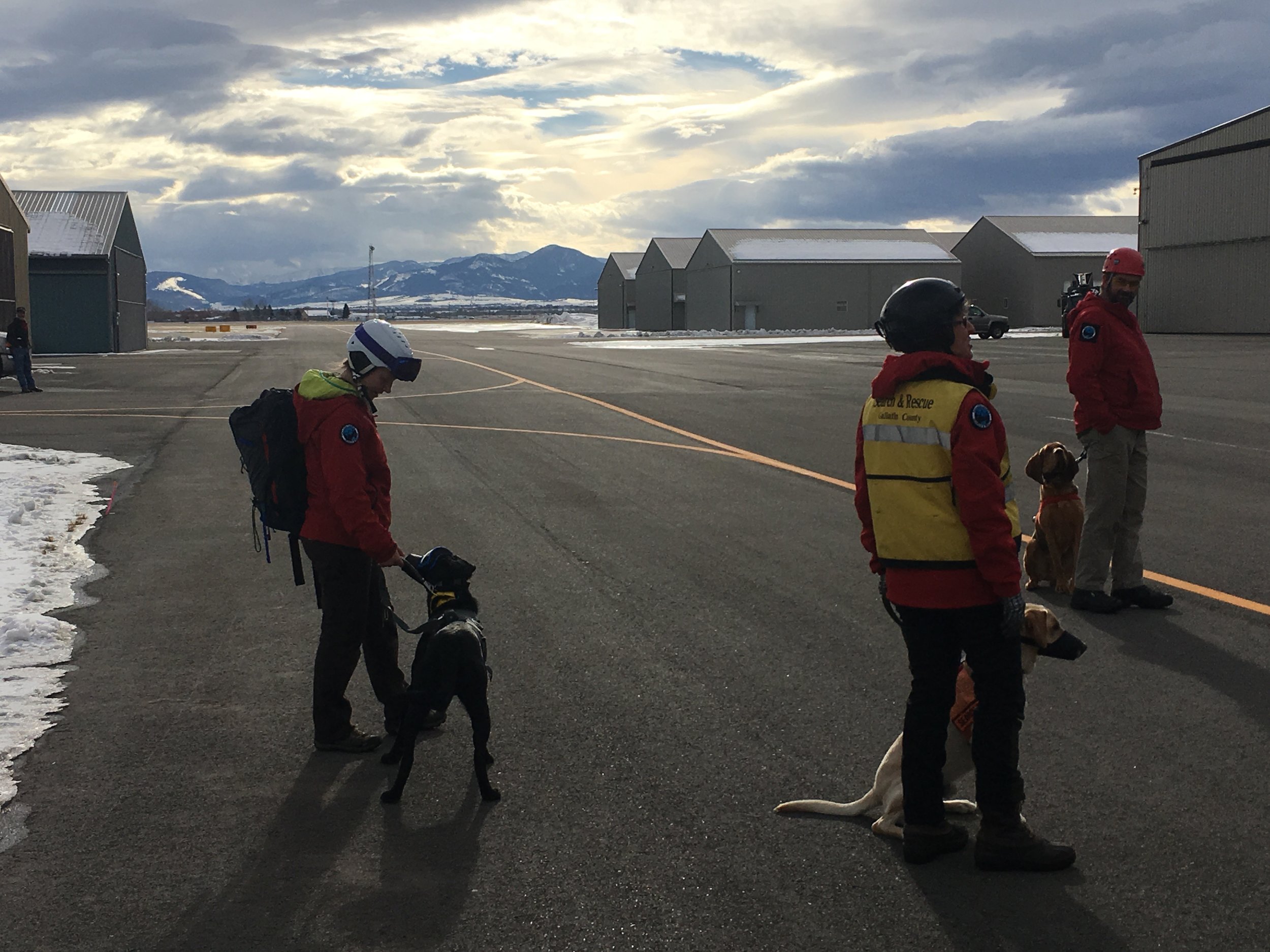 K9s Yodel, Telly, and Jake (and their handlers) wait for their turn to load.