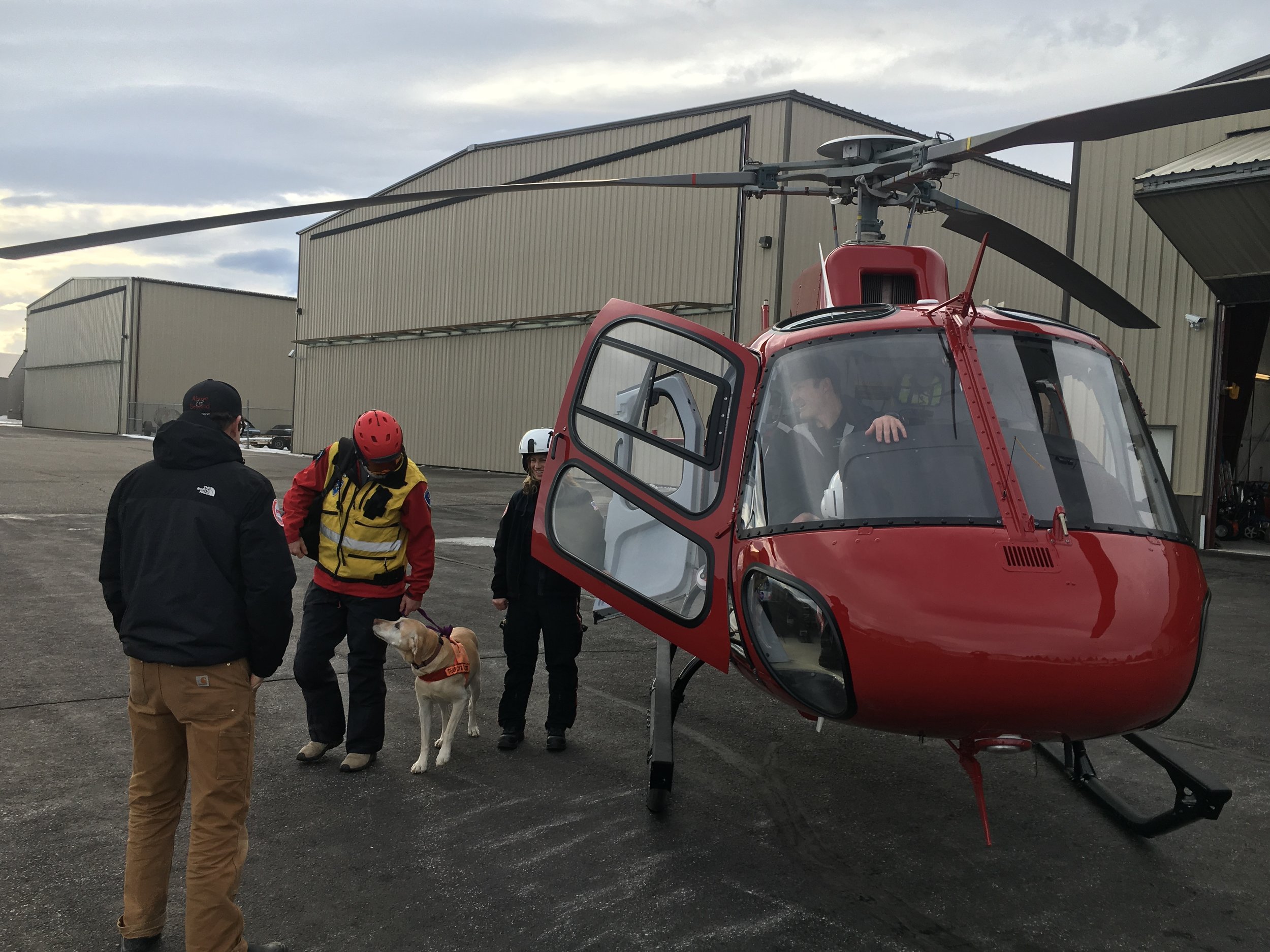  “Are you sure we have to get out now?” – K9 Trigger 