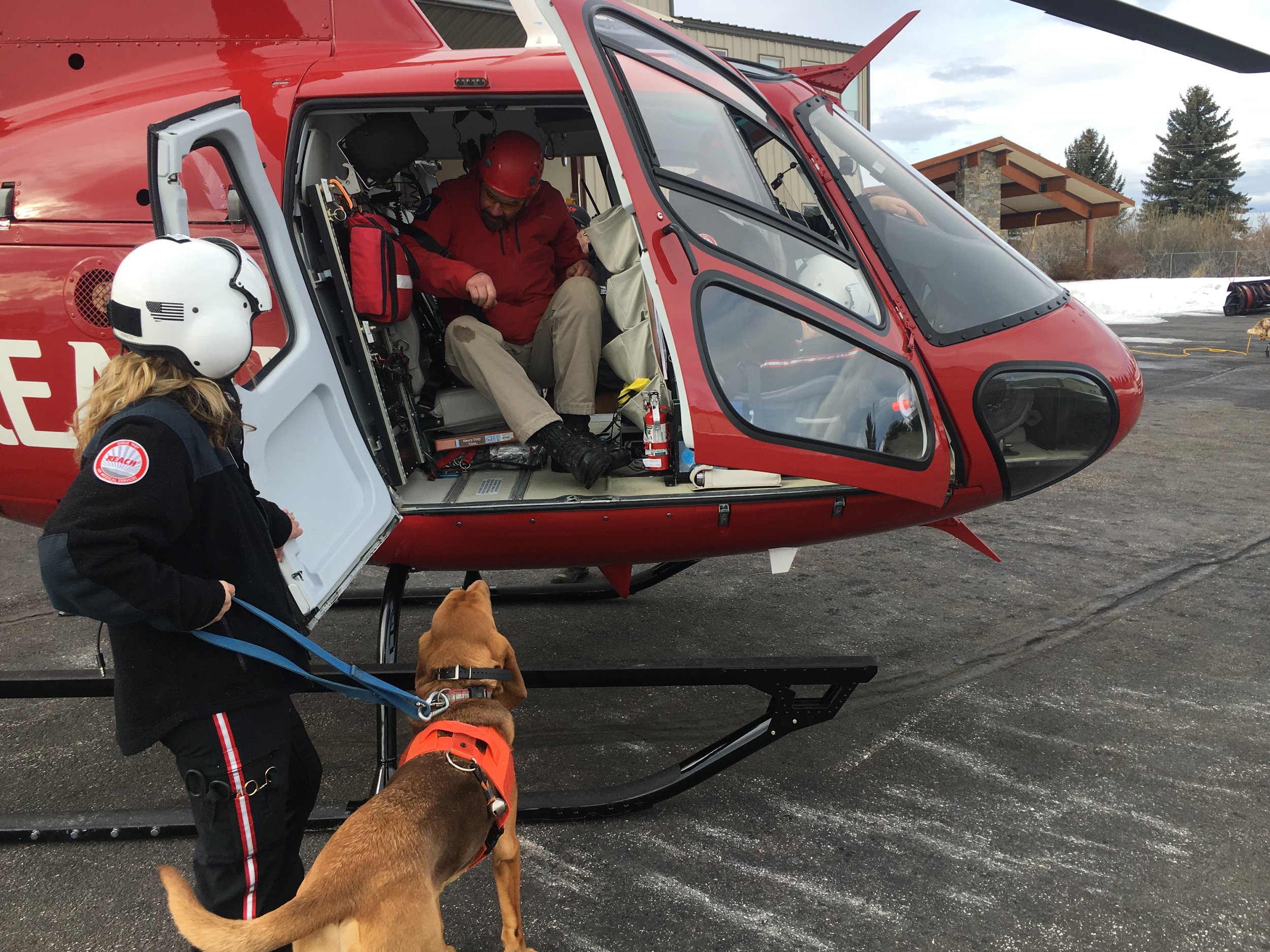  K9 Jake getting ready to load 