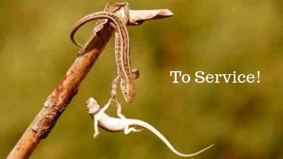 To Service.png