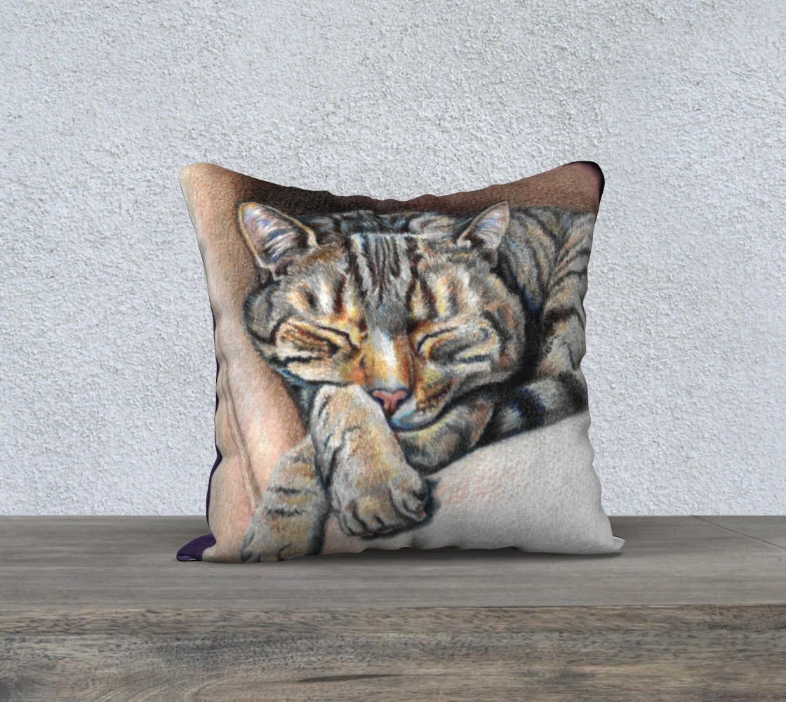 tabby cat pillow