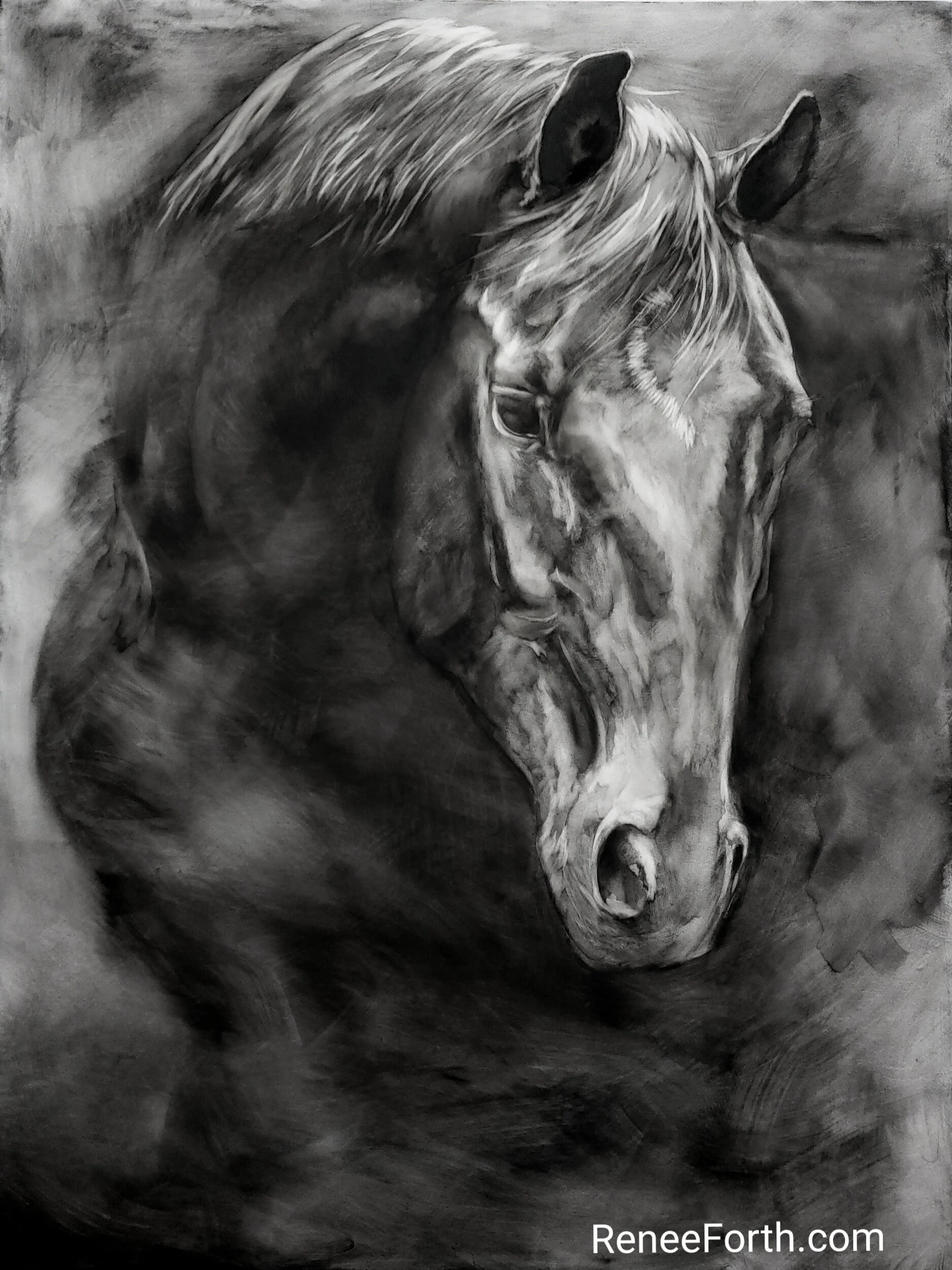 Expressive black and white horse portrait. “Sweet Entreaty”, 40”x30”x1.5”, Copyright Renee Forth-Fukumoto
