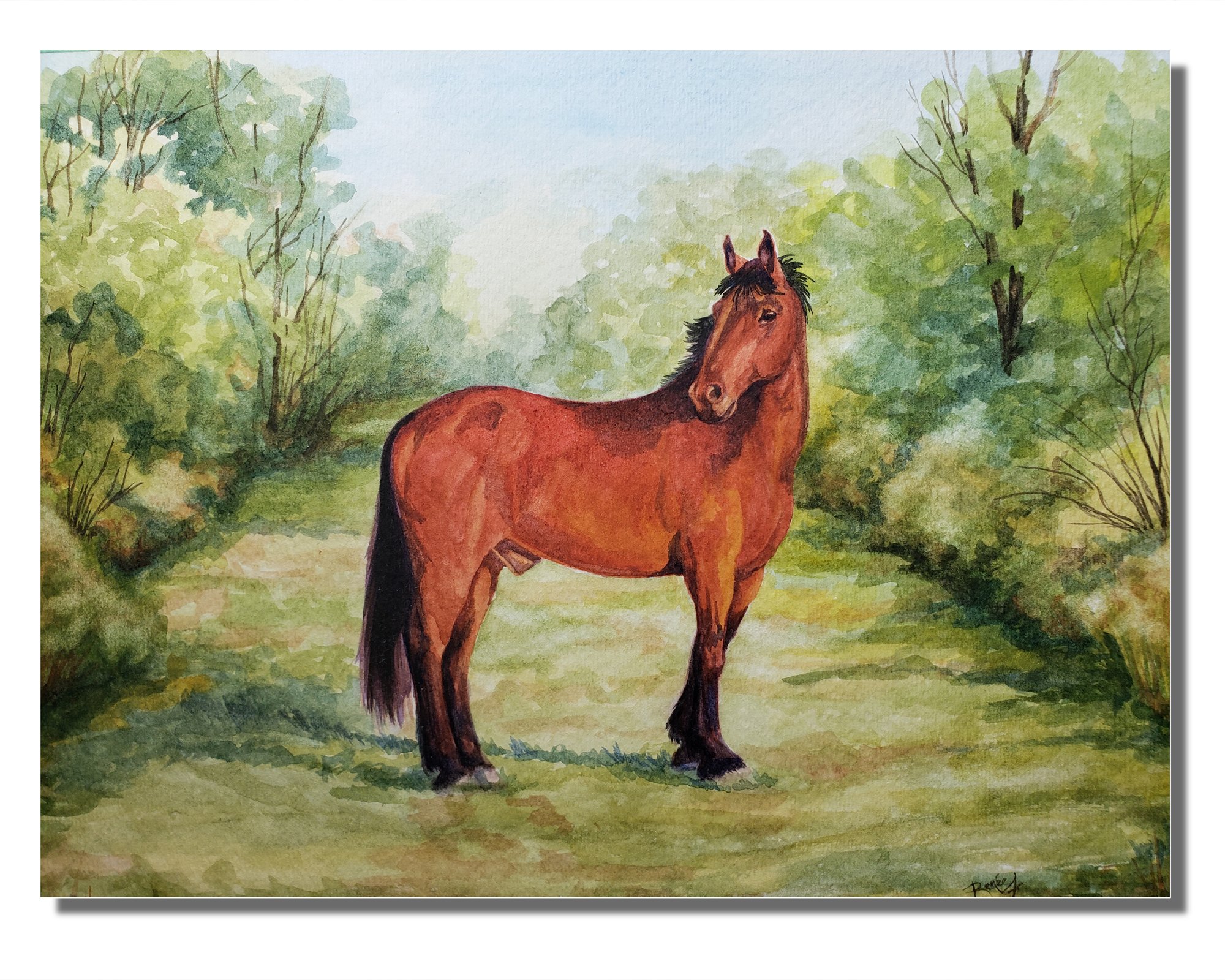 charlie-horse-portrait-watercolour-with-background-renee-fukumoto.jpg